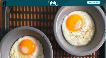 أسعار البيض البلدي والأحمر في الإسكندرية وتفاصيل سعر “أبو صفارين” اليوم